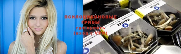 гидропоника Нягань