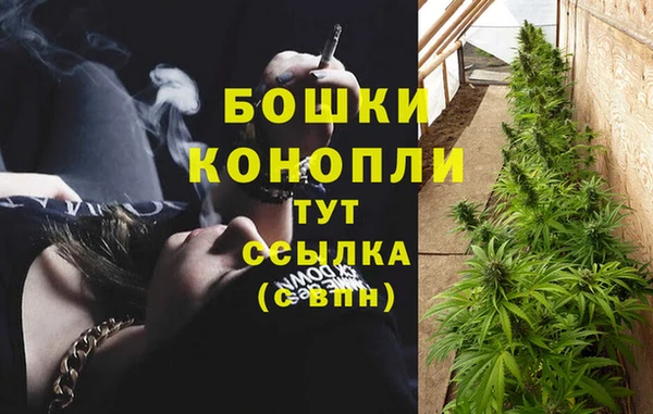кокс Няндома
