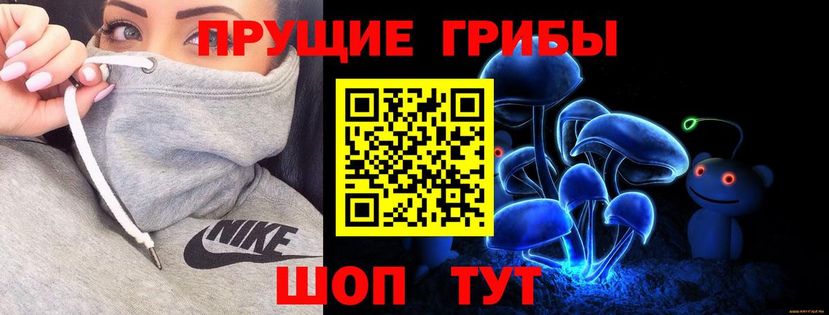 где купить   Псилоцибиновые грибы Psilocybe  Вход с VPN  Кубинка 